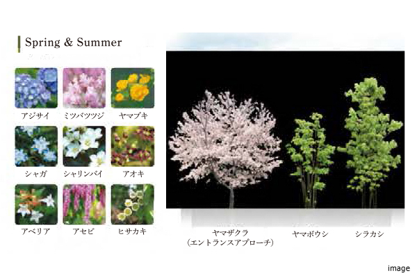 植栽｜ザ・パークハウスオイコス鎌倉大船