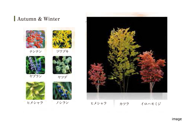植栽｜ザ・パークハウスオイコス鎌倉大船